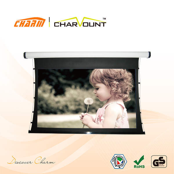 tab-tensioned electric screen