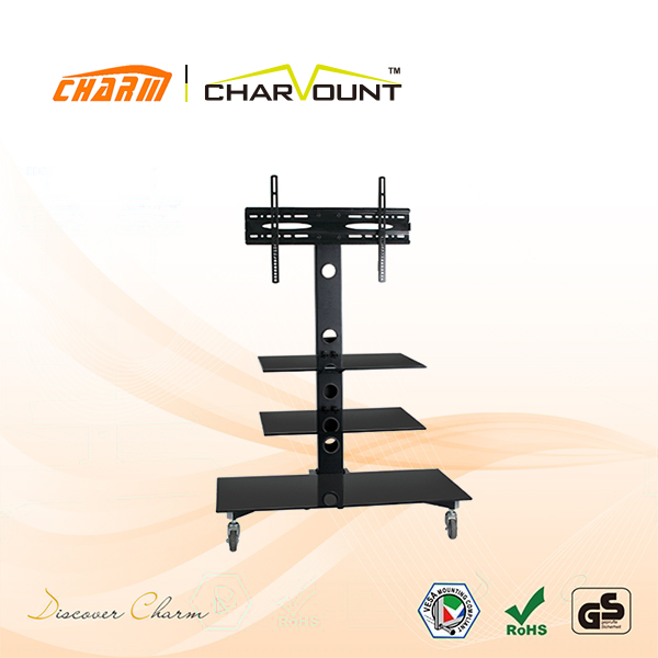 CT-FTVS-T110